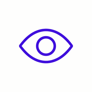 Vision